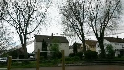 Remseck: Abdeckplane weht vom Feld und landet in einer Hochspannungsleitung